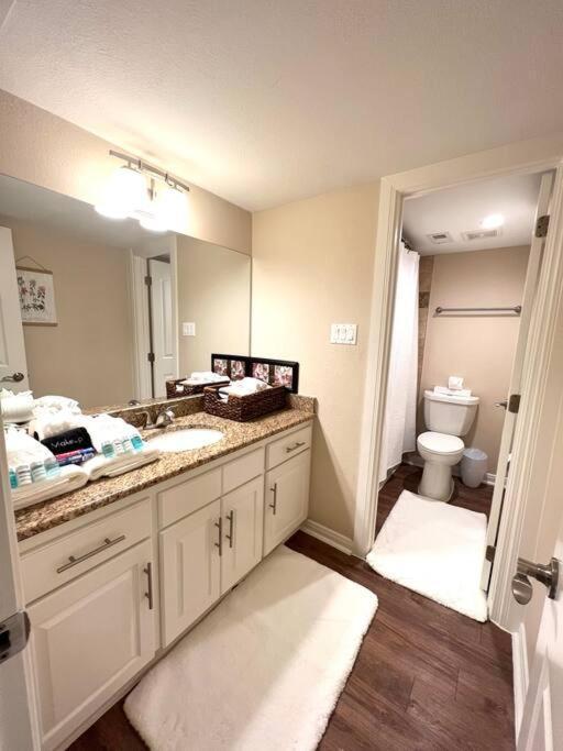 Lovely 2 Bedroom/2 Bath Houston, Heights/Galleria Exterior photo