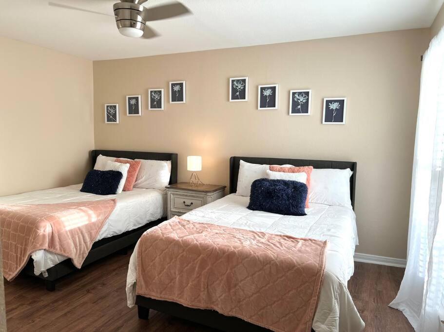 Lovely 2 Bedroom/2 Bath Houston, Heights/Galleria Exterior photo